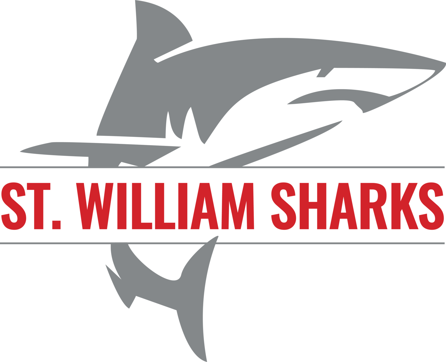 St. William Sharks CYO